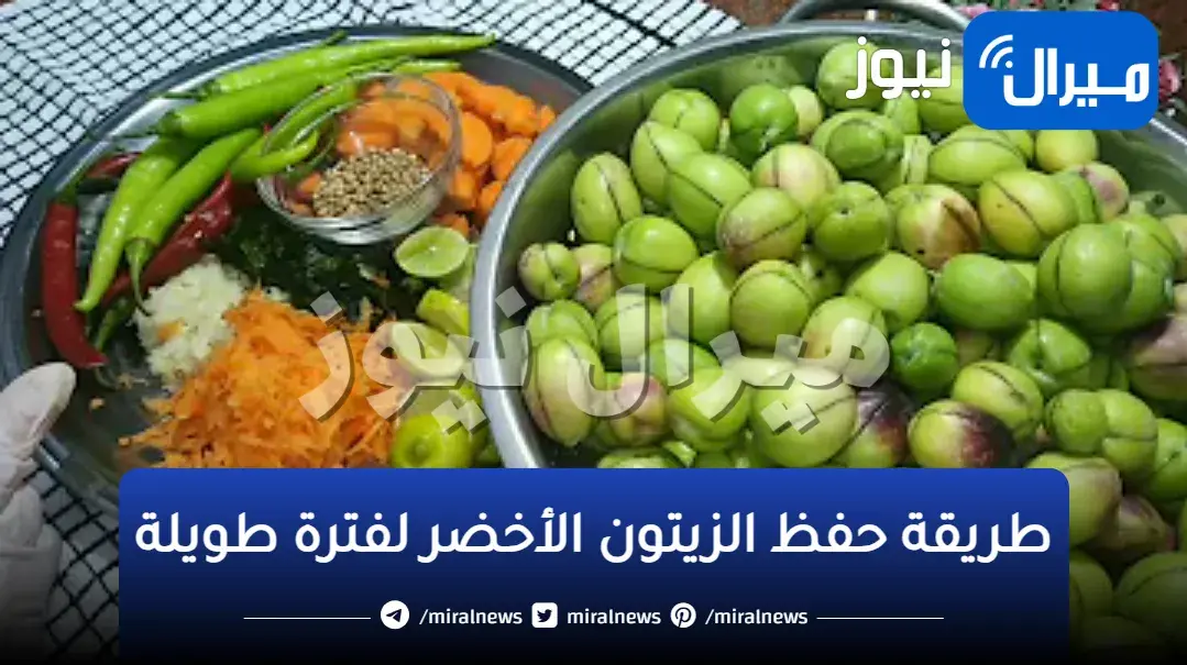 “ناجح من أول مرة “.. تعرف على أسرار كبيس زيتون أخضر حفظه لكل سنة