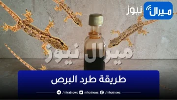 طرد البرص والحشرات من المنزل نهائيا بطريقة فعالة ومجربة وبدون مواد كيماوية