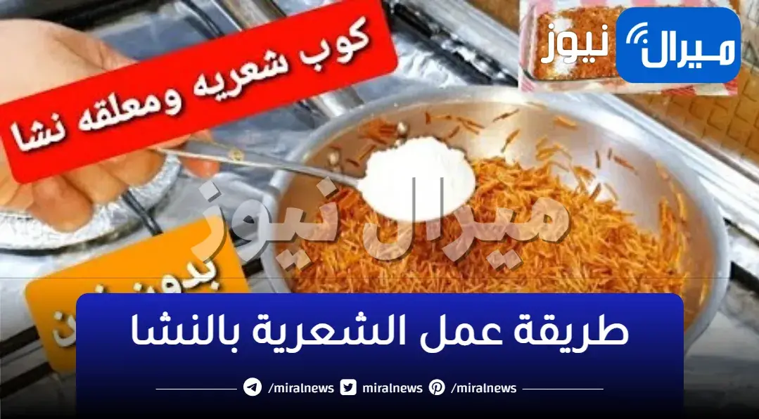 وصفة سريعة …إذا توافر كوب من الشعرية وملعقتين نشأ ماذا ستفعل ؟