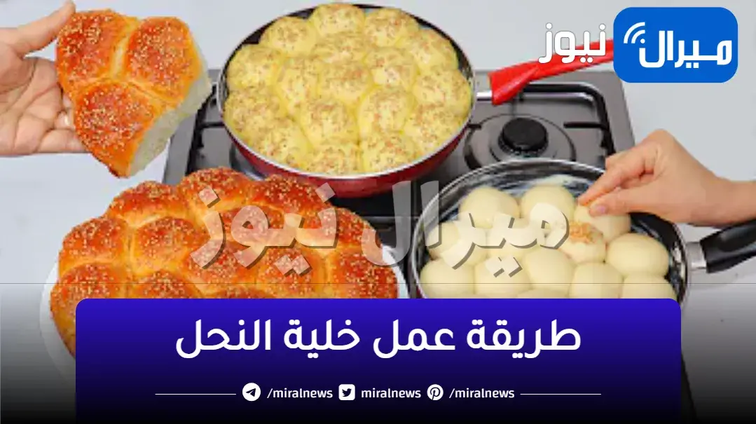 سر نجاح عمل خلية النحل الطرية والهشة وبخطوات بسيطة وسهلة