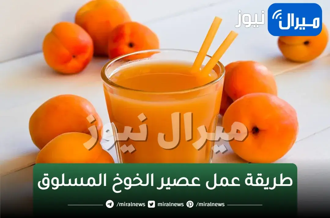 عصير الخوخ منعش طبيعي لذة مذاق اكثر من رائع احسن من الجاهز بأقل تكلفة في البيت