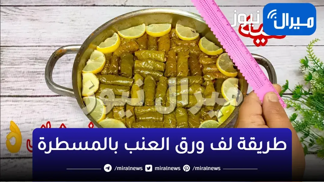 طريقه عبقريه بالمسطره هتلفي ورق العنب بسرعة الصاروخ في ثواني بدون ماكينه