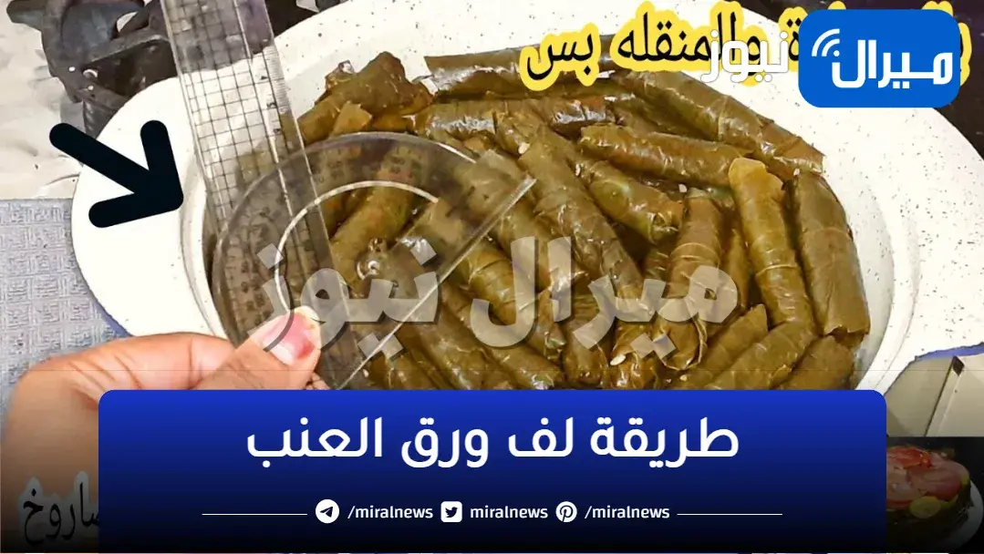 “بسرعة الصاروخ”.. بالمسطرة هتلفي ورق العنب والكرنب بطريقة متخطرش على البال