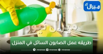 أسرار نجاح صابون سائل للمواعين في البيت بدون استخدام مكونات كيميائية تضر جلدك ويديكي