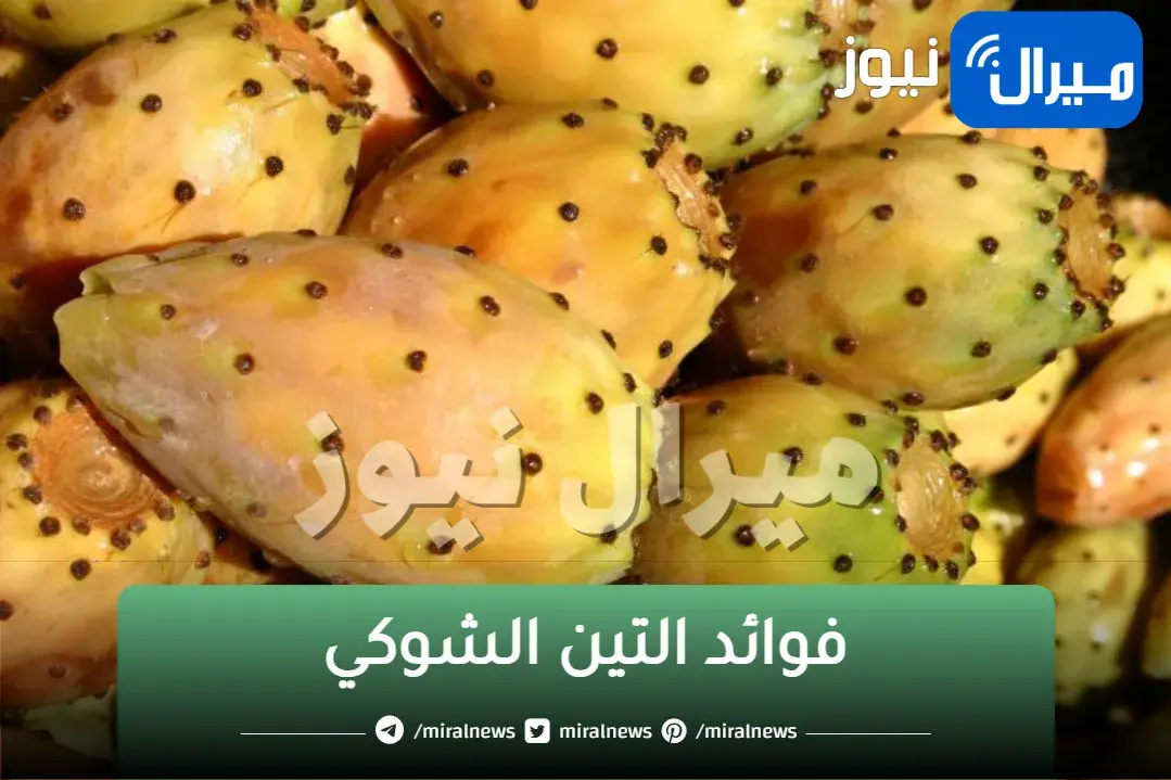 أسرار مدهشة.. لن تتخيل ما يحدث للكبد عن تناول التين الشوكي