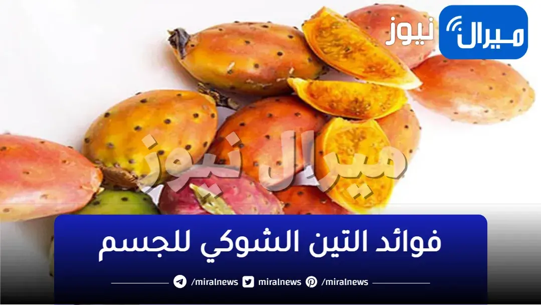 صيدلية فى منزلك.. التين الشوكي كنز ربانى سبحان الله يحسن صحة الشرايين والجهاز الهضمي ويشفى الكثير من الامراض