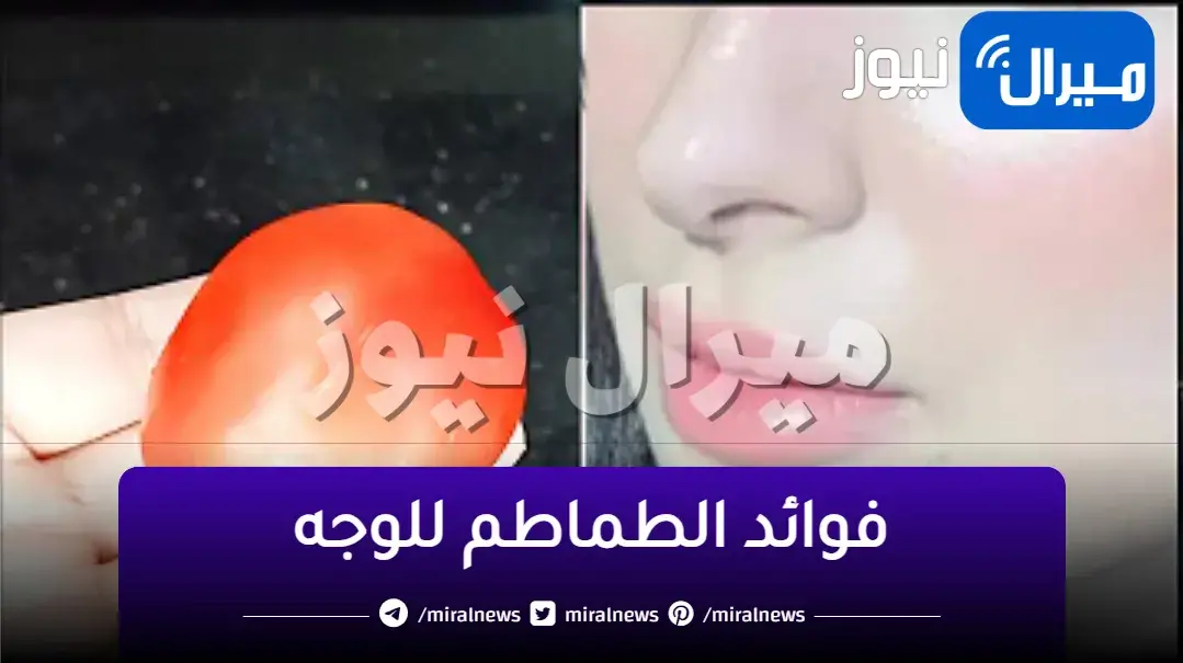 “السر في الطماطم” .. حبة طماطم ستجعلك ملكة جمال للحصول على بشرة خالية من البقع والتجاعيد والمسام الواسعة
