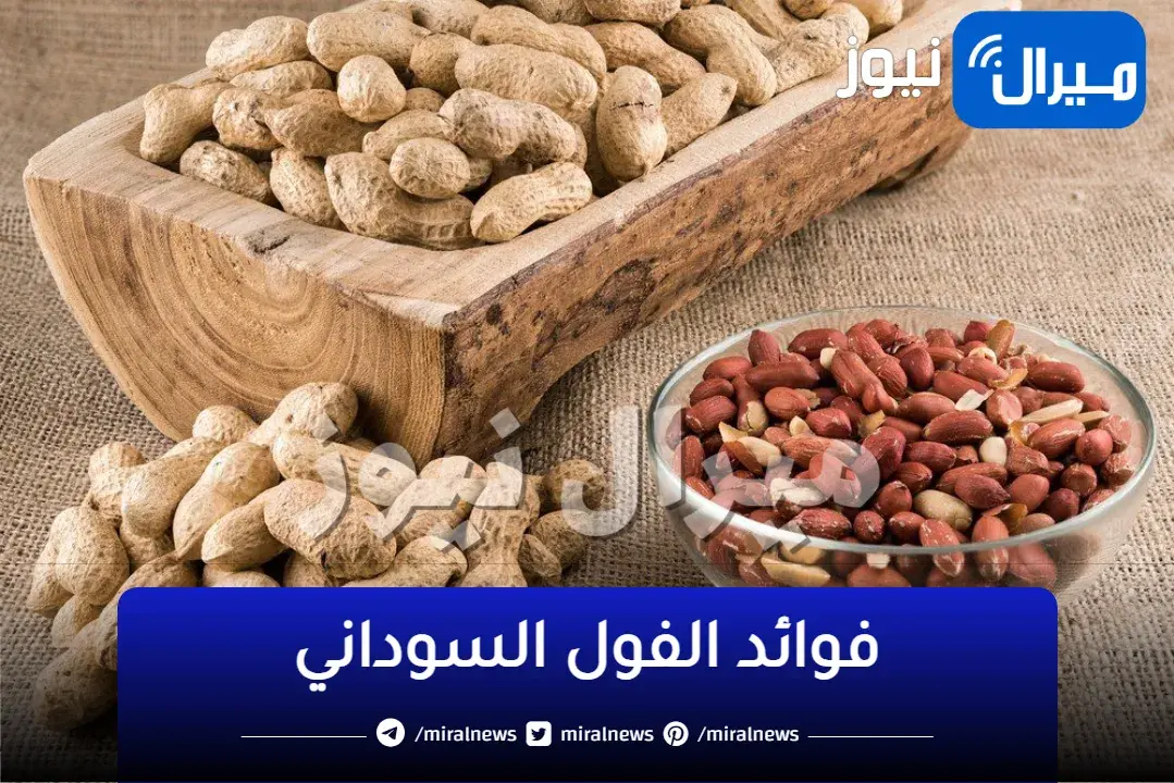 الفول السوداني قنبلة فوائد صحية… تناوله لصحة قلبك وضبط معدل ضغط الدم