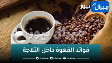 فكرة عبقرية.. ضعى كوب من القهوة فى الثلاجة وشاهدى المعحزة التى ستحدث مش هتصدقى النتيجة الرهيبة سبحان الله متخطرش على بال العفريت