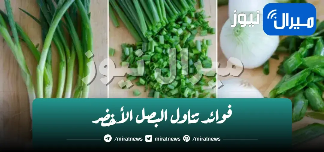 الكنز الأخضر.. لن تصدق الفوائد السحرية التي ستحصل عليها عند تناول البصل الأخضر باستمرار ستأكله مهما كنت بتكرهه