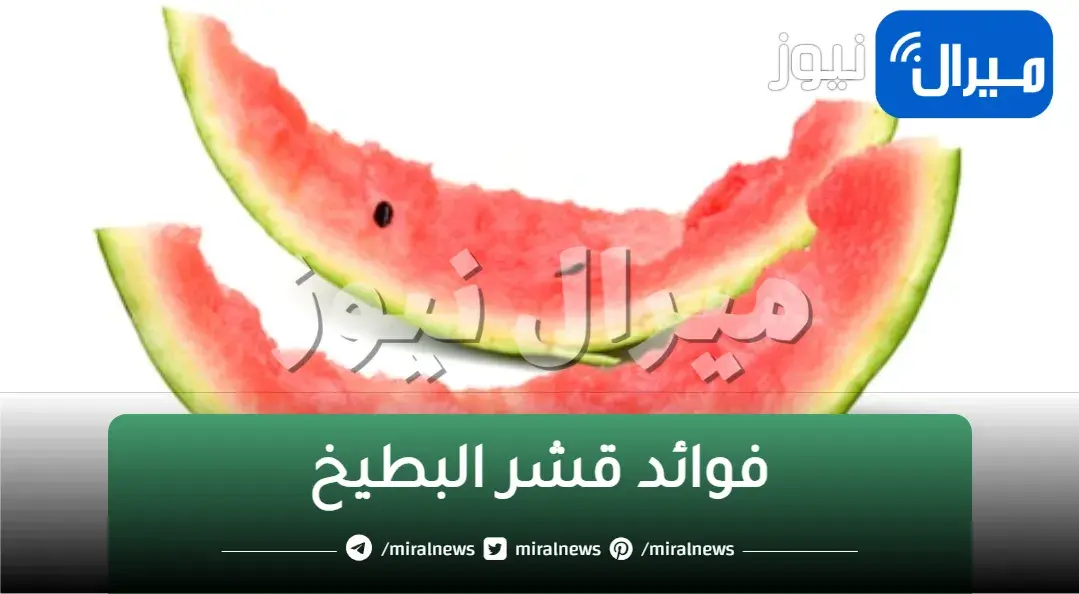 ” أغلي من الذهب ” .. ” قشور البطيخ ” كنز كنتي بترميه تعالي أقولك ممكن تستفيدي بيه إزاي