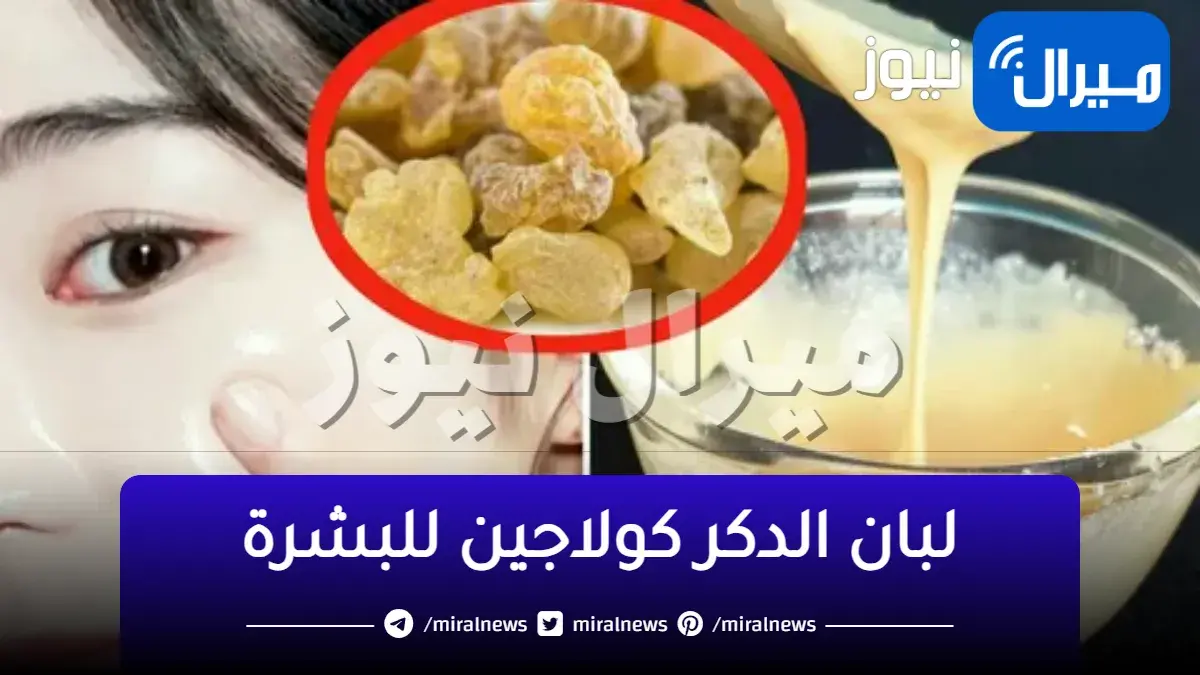 عروسة وفرحك قرب.. حل سحرى باستخدم كريم لبان الذكر لشد ونضارة البشرة وإزالة التجاعيد بدون مكياج هيخليكى عروسة