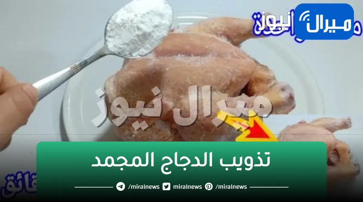 معلقة واحدة لفك الفراخ المجمدة فى أقل من 5 دقائق وتحويلها لفراخ طازة حتى لو مجمدة من سنة