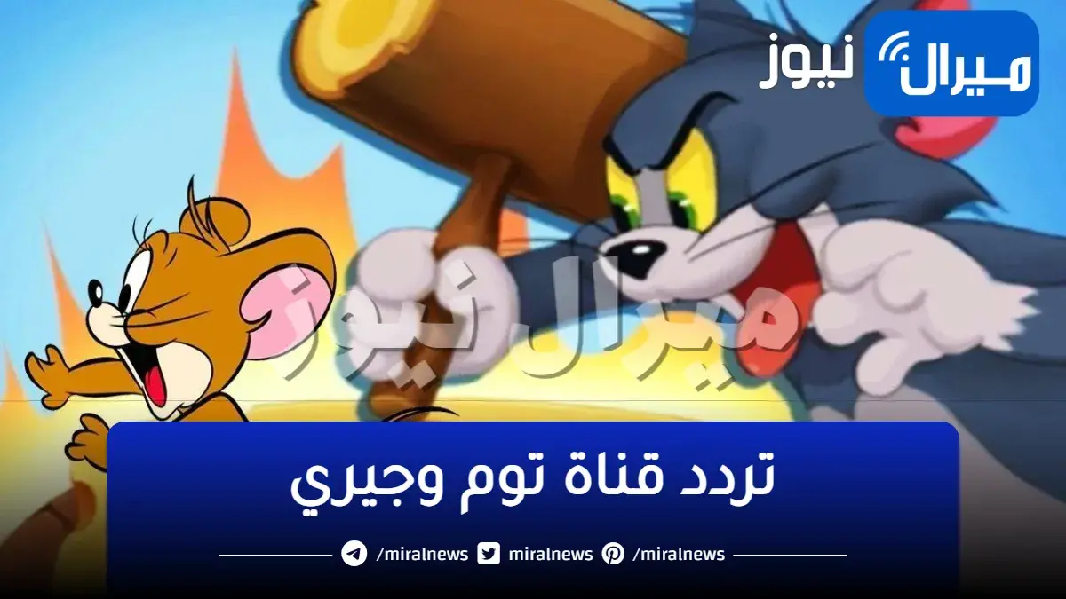 تردد قناة توم وجيري  Tom and Jerry وأهم البرامج التي تقدمها