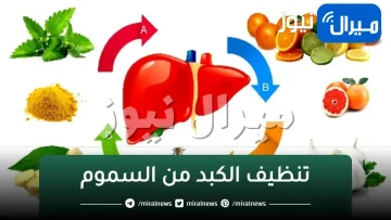 خطة علاجية لتنظيف الكبد سيجعل كبدك جديدًا وستبدوا أصغر سنا وأكثر صحة لن تترسب السموم