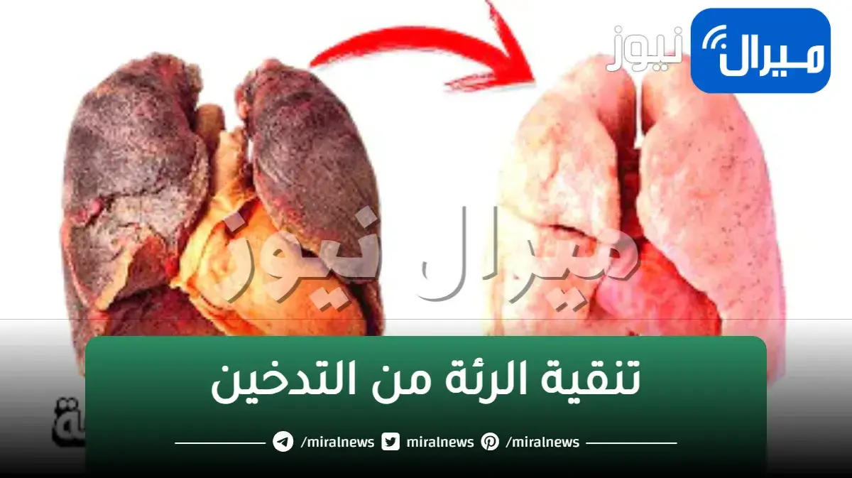 خلطات تنقية الرئة من أثار التدخين والسجائر وطرد السموم من الجسم في 3 أيام فقط