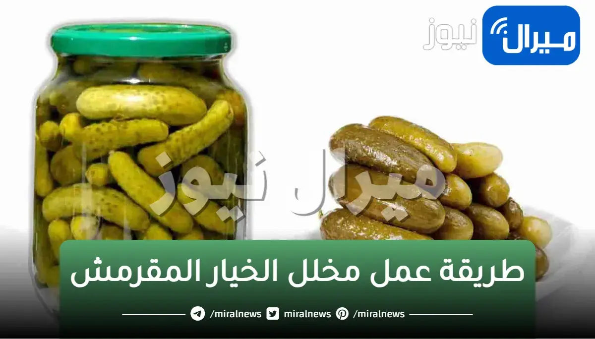 سر محلات الطورشي.. طريقة عمل مخلل الخيار المقرمش السريع جاهز علي الأكل في نفس اليوم مش هتشتري من برة تاني