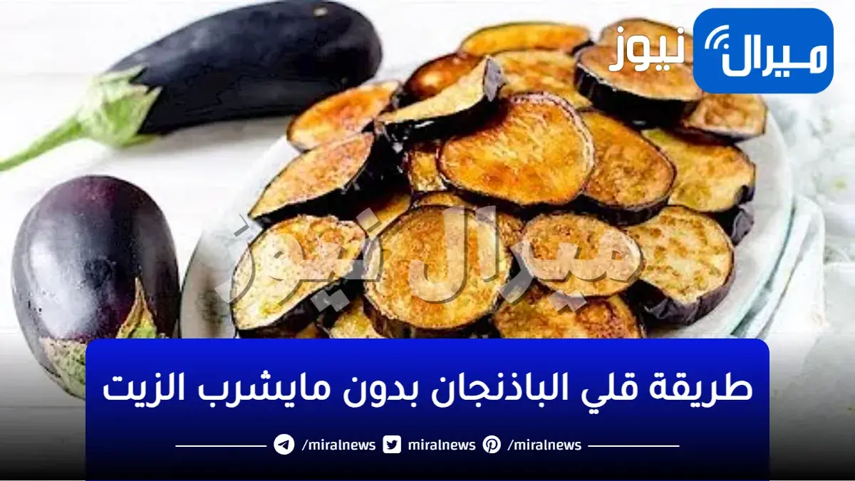 ضاع عمرنا بنقلي الباذنجان غلط ..قلي الباذنجان من غير مايشرب ولا نقطه زيت مع قرمشة فظيعة والطعم جناااان