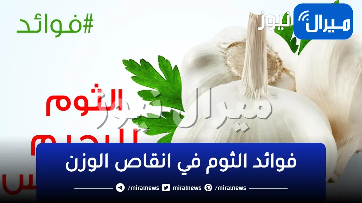لن تصدق فوائد تناول مشروب ماء الثوم على الريق لانقاص الوزن 10 كيلو بسرعة البرق