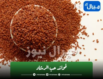 هذا ما يحدث لجسمك عند تناول حب الرشاد لمدة 7 ايام