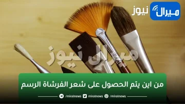 من اين يتم الحصول على شعر الفرشاة الرسم