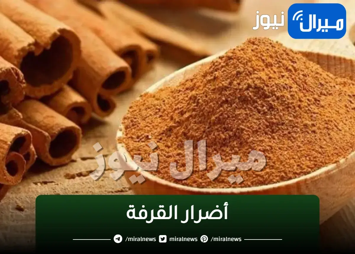 “أضرار القرفة”…. تعرف على الأثار السلبية الناتجة من الإفراط في تناول القرفة