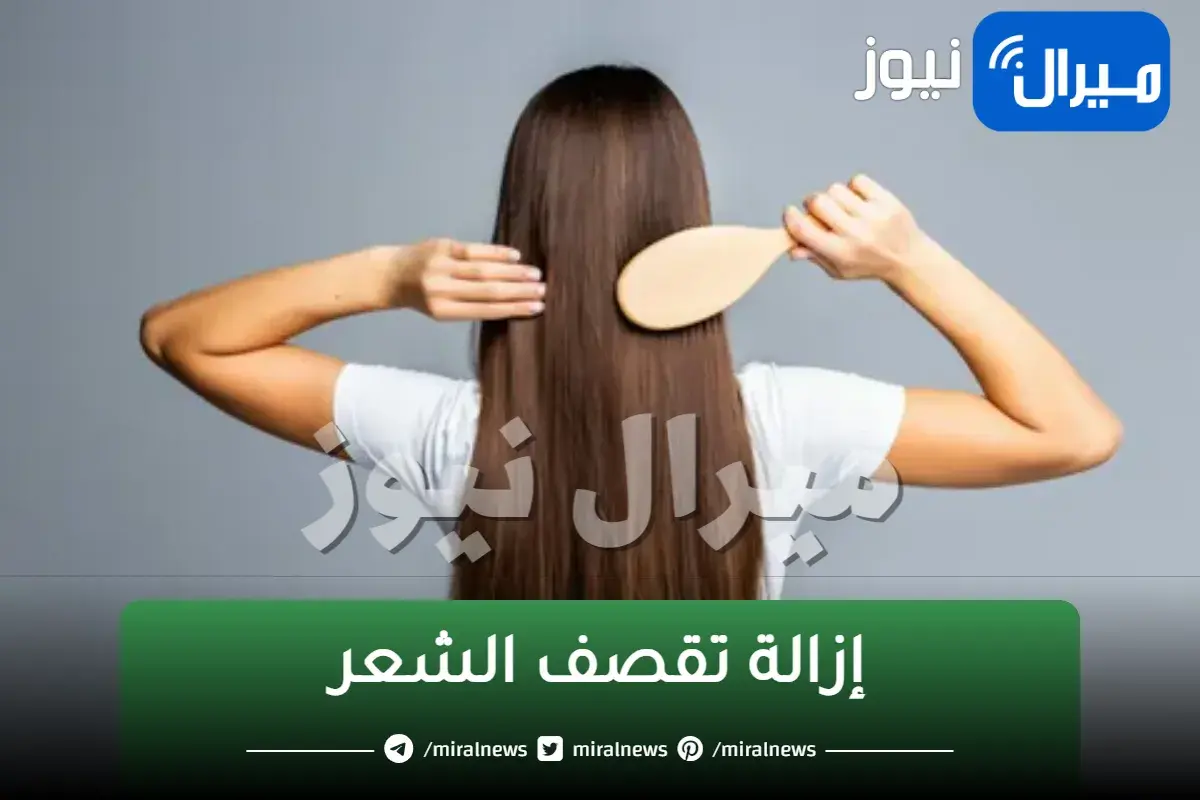 اسرع الطرق للتخلص من الأطراف التالفة تماماً والحصول على شعر أملس وناعم بمكونات بسيطة طبيعية