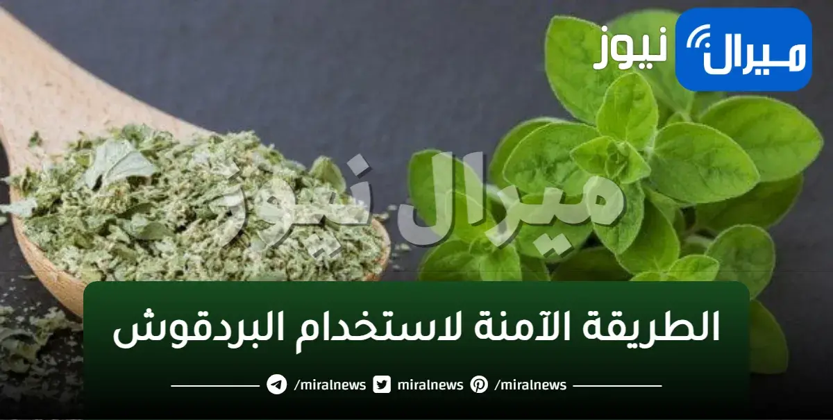 أضرار تناول البردقوش على الرجال والنساء تعرف عنها فوراً.. إليكم الطريقة الآمنة لاستخدامها