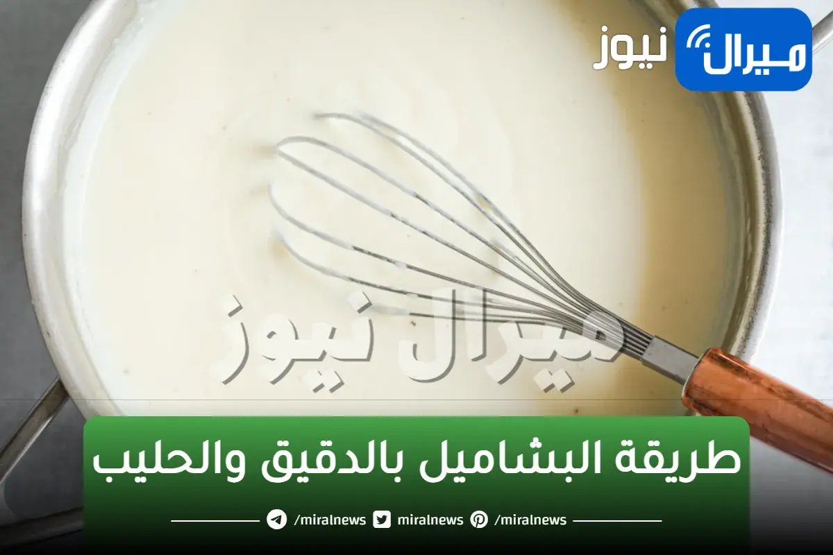 البشاميل على أصوله | أسهل وأسرع طريقة البشاميل بالدقيق والحليب قوام متماسك وكريمي