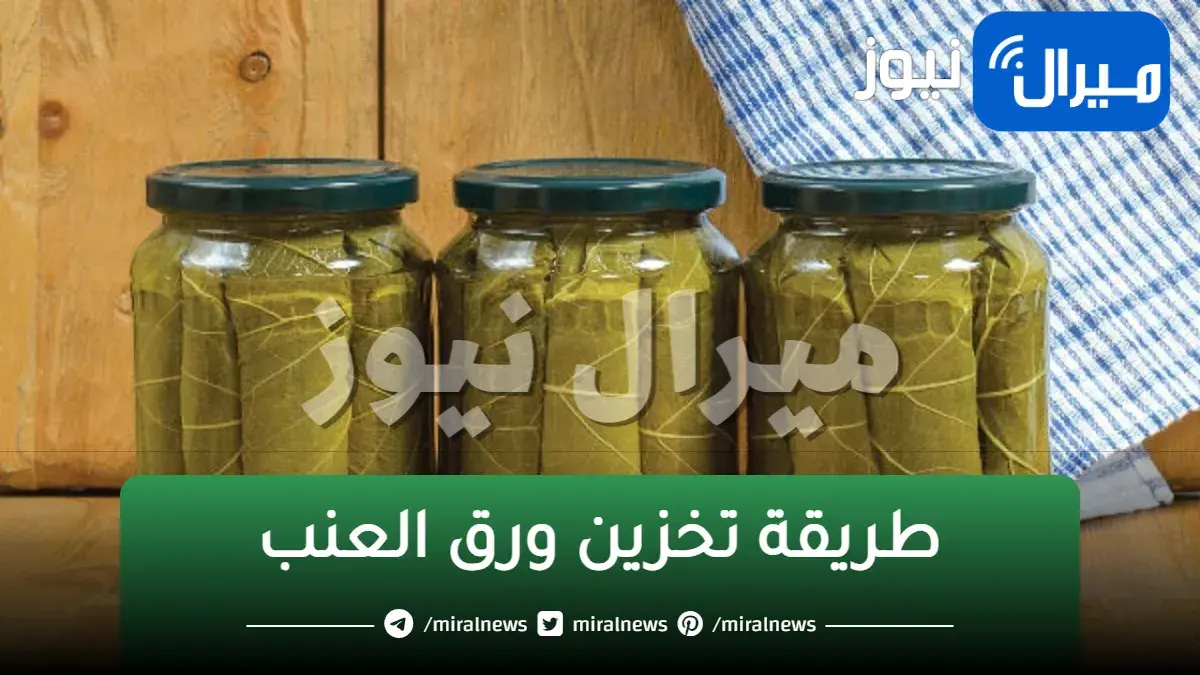سر التاجر.. تخزين ورق العنب من السنة للسنة بدون تغيير فى اللون او الطعم وهيفضل طازة وفريش