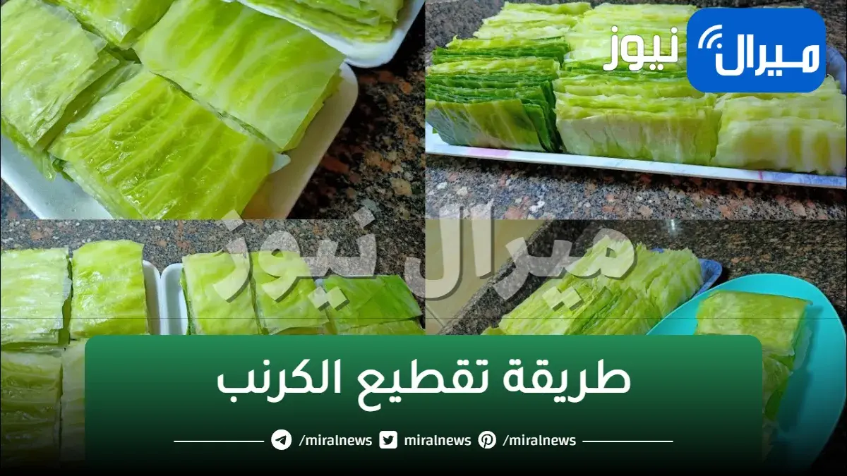 اسهل طريقة لتقطيع الكرنب وسلقه في غمضة عين وبخطوه واحده وبدون مجهود .. خزني اكبر كمية بدون قلق