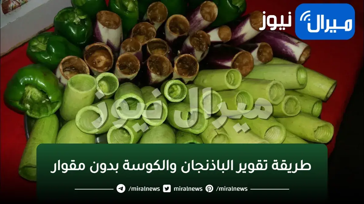 فكرة عبقرية بسرعه الصاروخ لتقوير الباذنجان و الكوسه في دقائق هتقوري اكثر من 5 كيلو