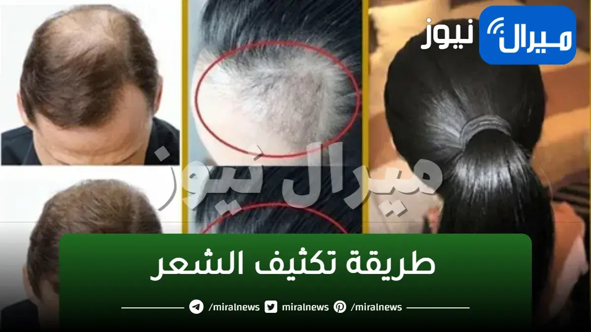 افضل وصفات تكثيف الشعر وملء الفراغات بشكل طبيعي