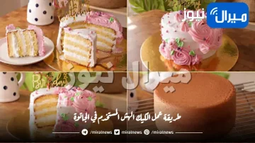 طريقة عمل الكيك الهش المستخدم في الجاتوة بقوام ناعم و هش يذوب في الفم – Perfect Sponge Cake