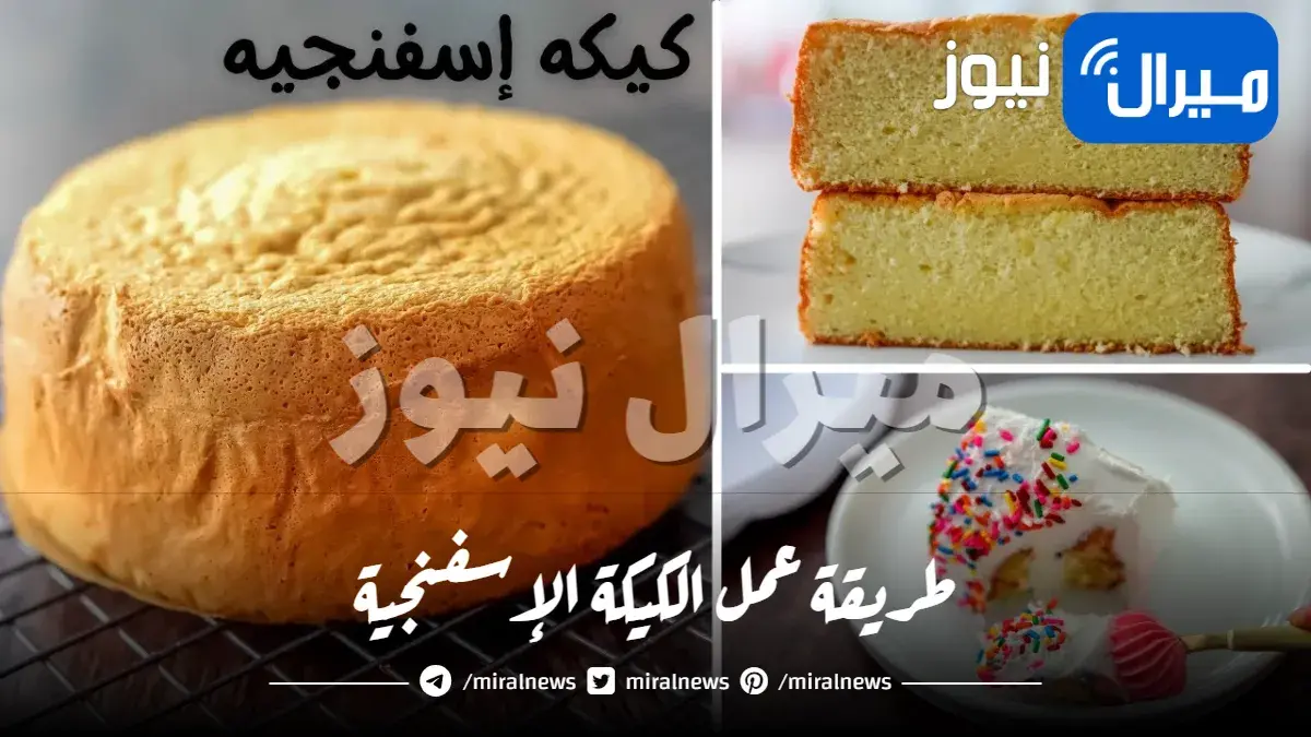 طريقة عمل الكيكة الإسفنجية هشة بكل سهولة لتحضير ألذ التورتات والجاتوهات