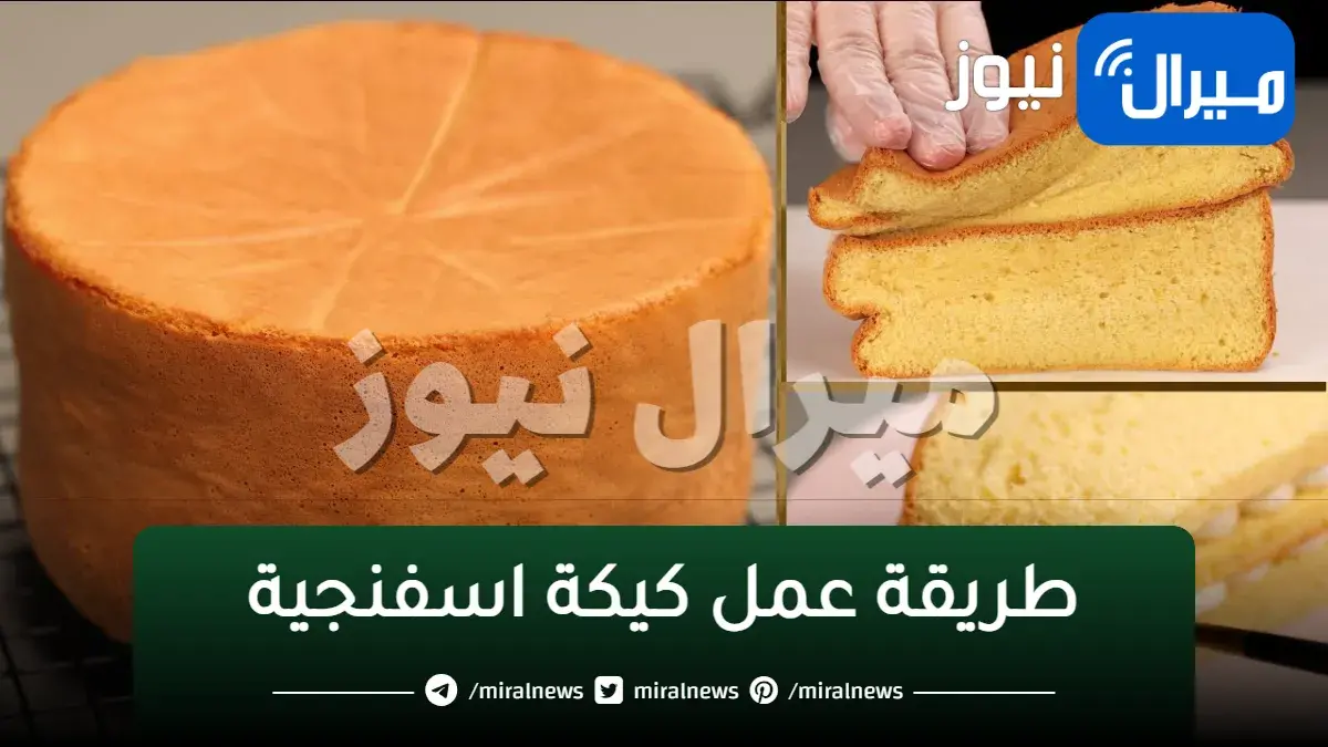 بـ3 بيضات.. اسهل والذ طريقة عمل كيكة اسفنجية هشة بالمقادير