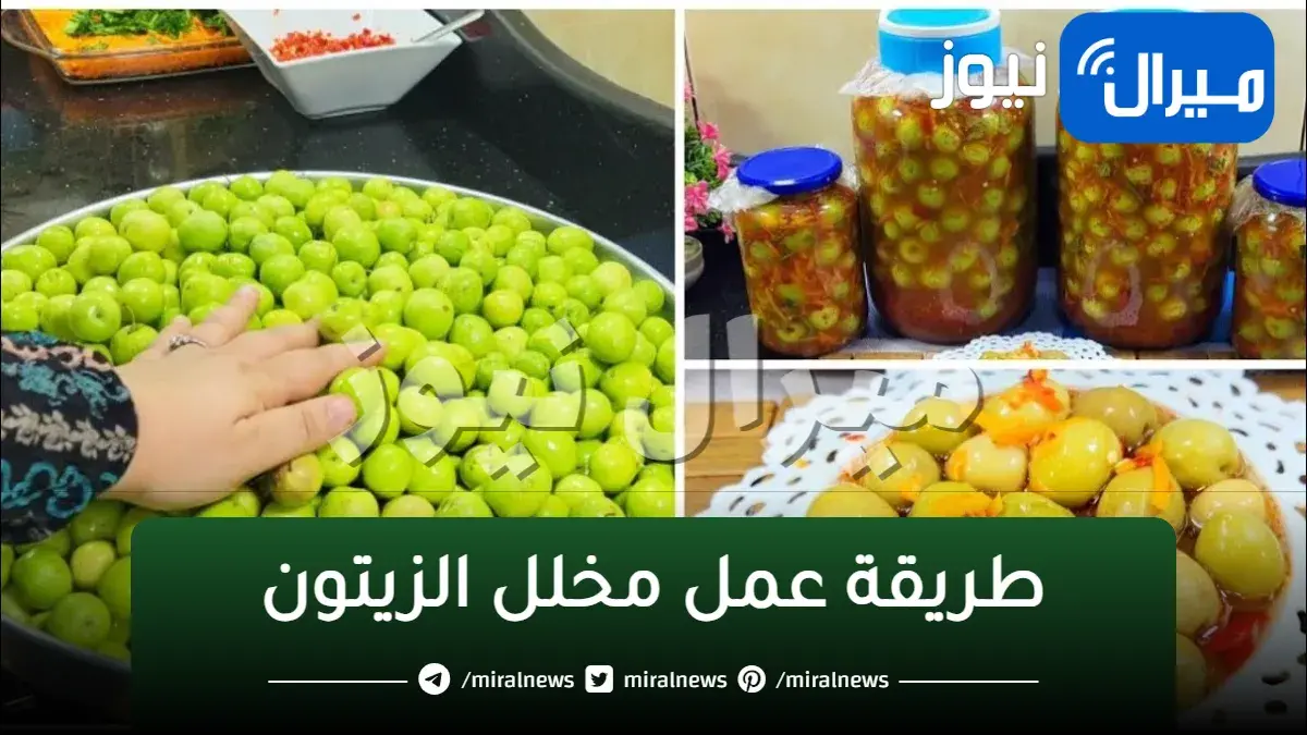 بتكاليف اقتصادية..طريقة عمل مخلل الزيتون في المنزل مثل الجاهز