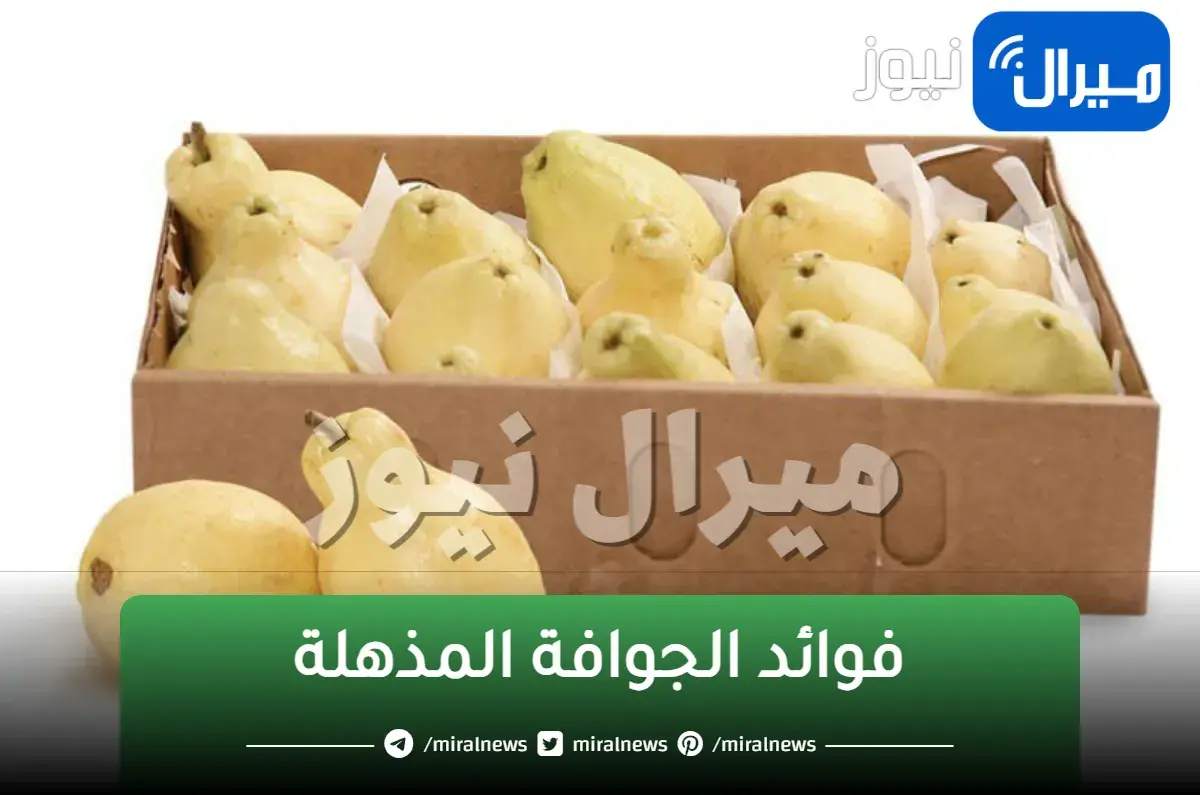 فوائد لا تصدق في الجوافة تجعلك تتناولها يوميا لمحاربة أكثر من عشرة أمراض,صيدلية فى المنزل !