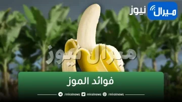 مش هتصدق نفسك.. 6 أسباب جبارة تجعل الموز هو فاكهتك المفضلة يوميا ولن تستغني عنه طيلة حياتك