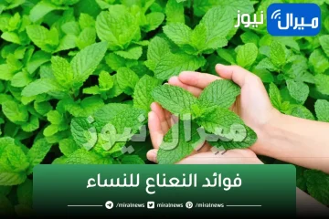 “خاصة للنساء”.. تناولي كوب واحد فقط يوميا من النعناع المغلي ولن تصدقي النتيجة