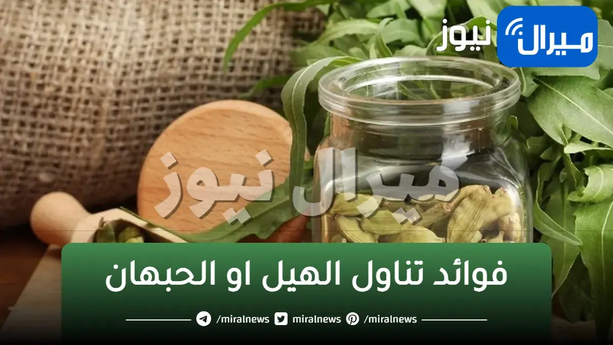 أسرار معجزة في تناول حبات الهيل “الحبهان” للصحة.. منها لمرضى السكر.. تعرف عليها الآن