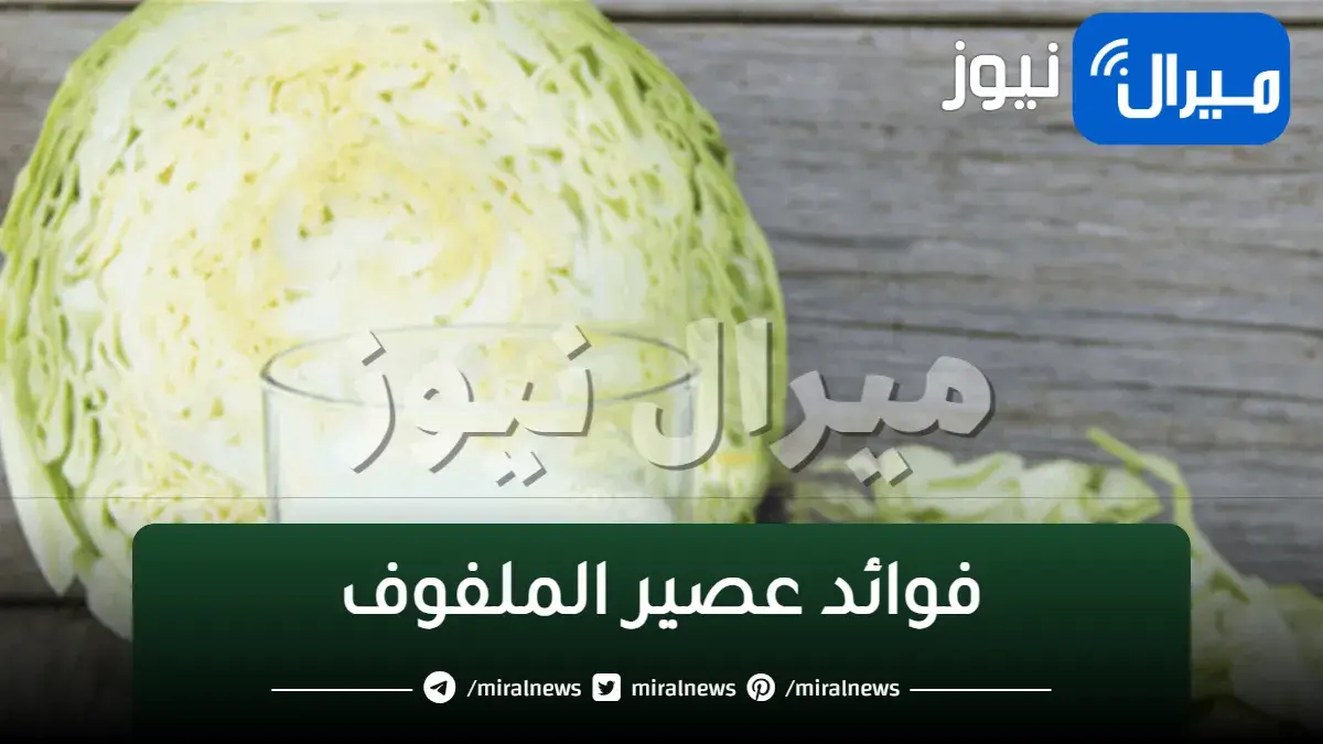 “الملفوف مش للأكل بس”.. لمدة 7 أيام تناول كوب واحد يوميا من مشروب الكرنب ولن تصدق النتيجة