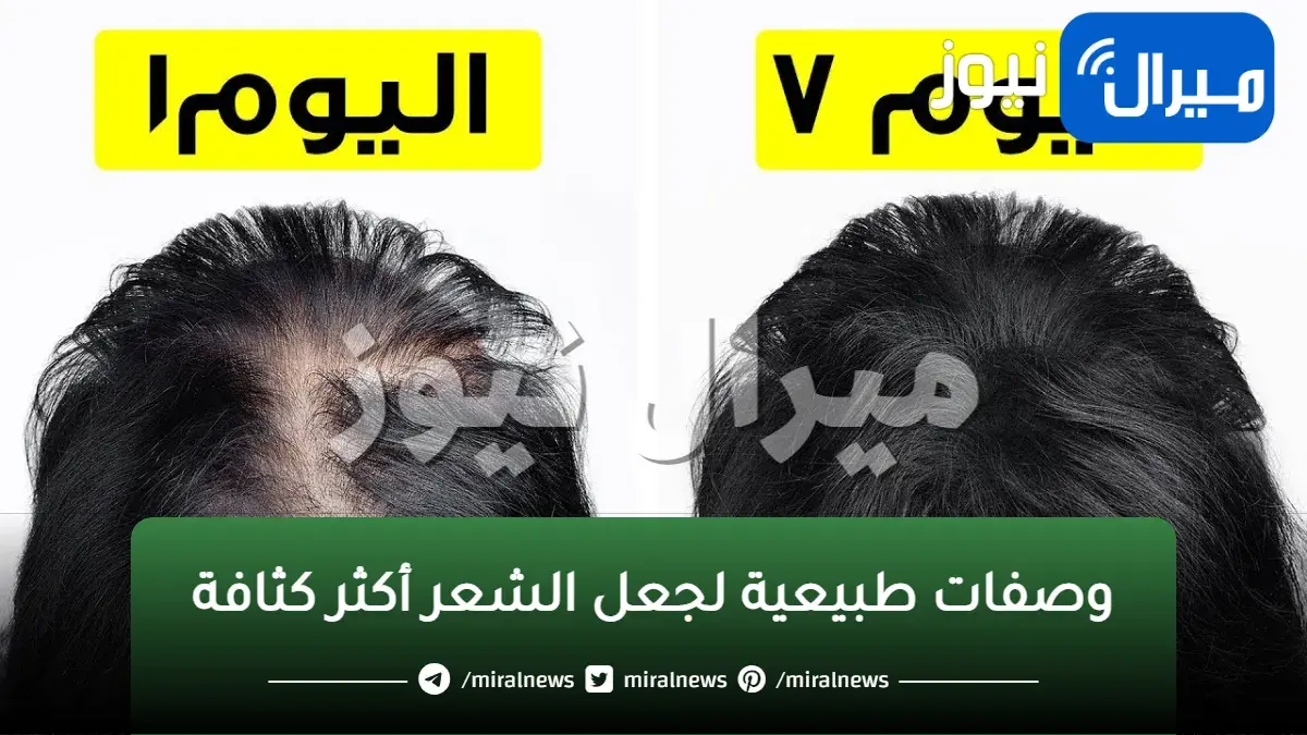 وصفات طبيعية لجعل الشعر أكثر كثافة ومنع تساقطه