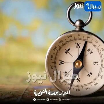 اختبار بوصلة الشخصية