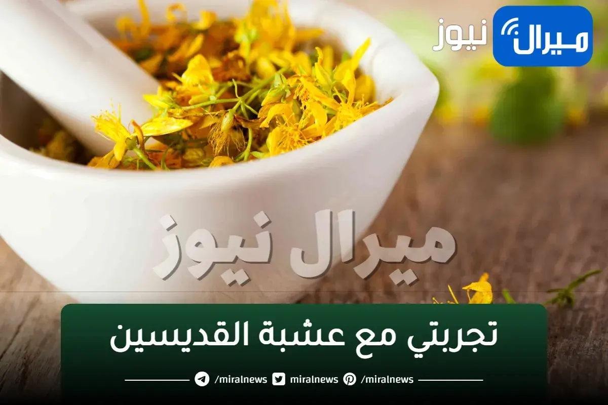 تجربتي مع عشبة القديسين