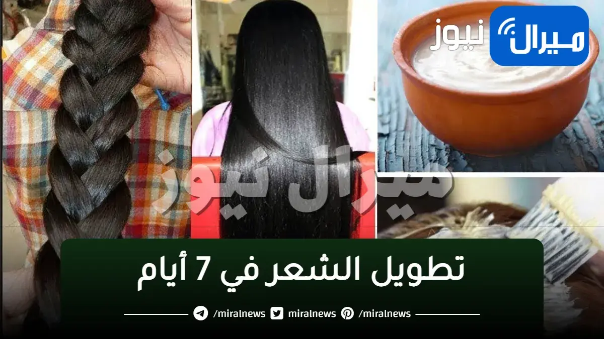 تطويل الشعر في 7 أيام