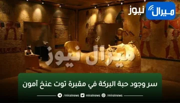 سر وجود حبة البركة في مقبرة توت عنخ آمون!!