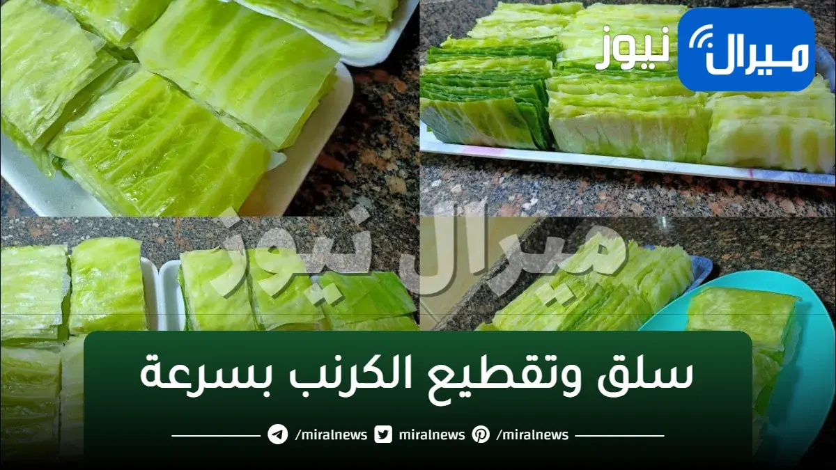 ضاع عمرنا بنقطع الكرنب غلط.. فكرة عبقرية لتقطيع وسلق الكرنب بسرعة الصاروخ هتعملي 7 كرنبات في دقيقتين