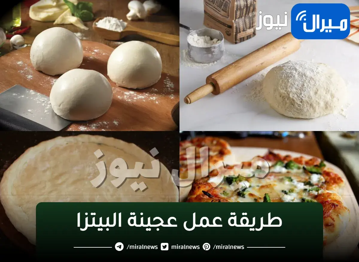 سر طريقة عمل عجينة البيتزا وتسمي عجينة العشر دقائق فى المنزل