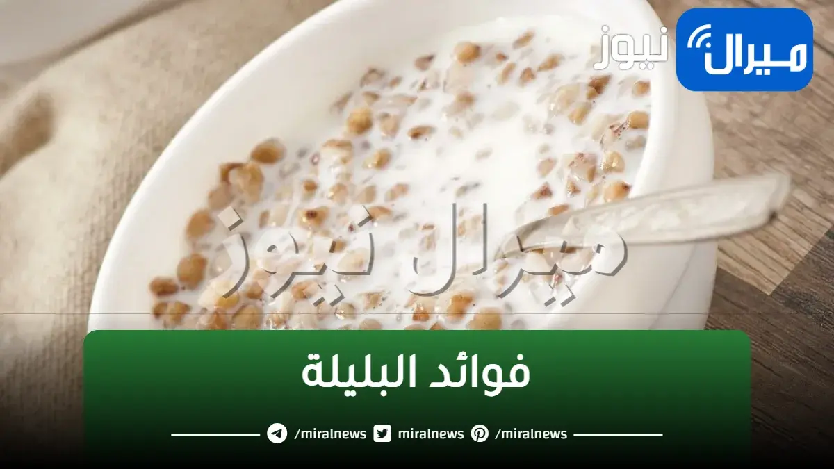 فوائد البليلة الصحية والعقلية معجزة حقيقية لن تتركها بعد اليوم